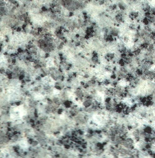 Marbre Granite Blanc