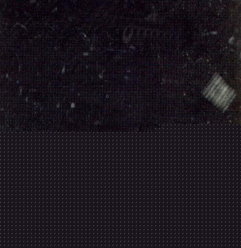 Marbre Royale Khenifra.